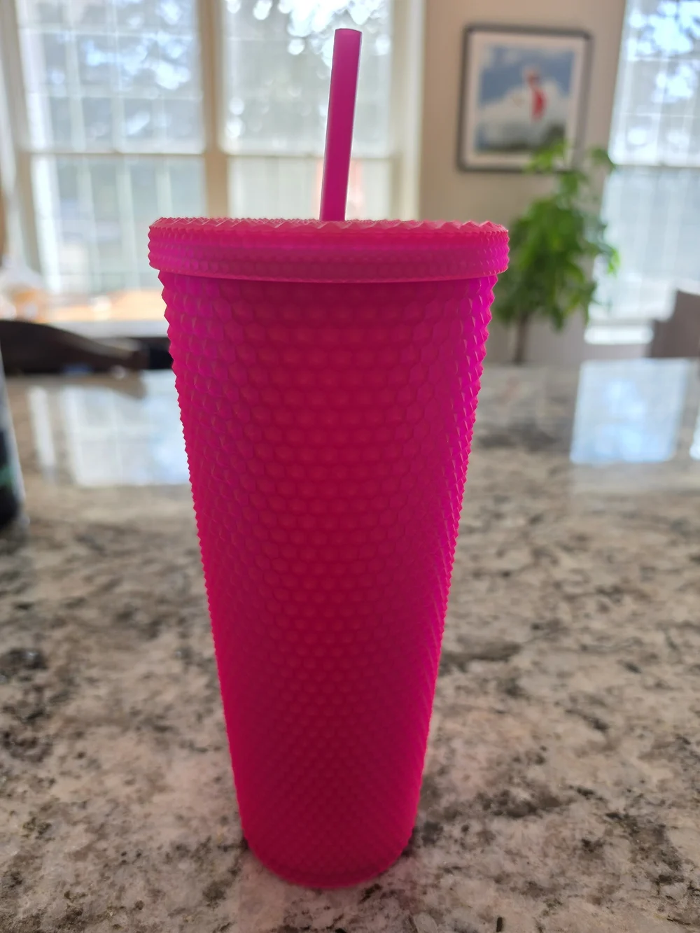 Starbucks MATTE Hot Pink Studded Tumbler with Lid & Straw
